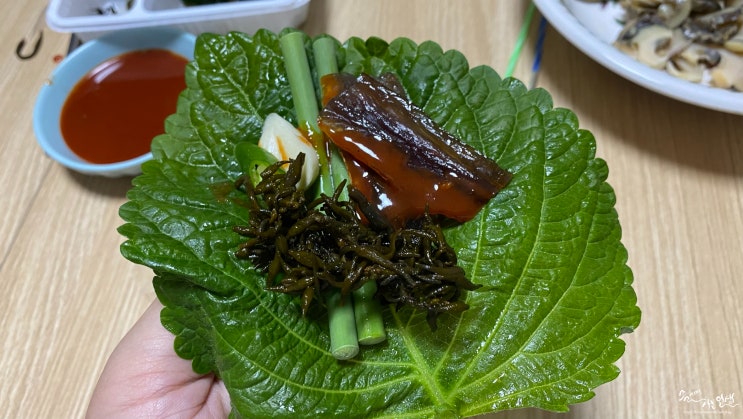  [오늘회 후기] 당일회 배송으로 구룡포 햇과메기 먹방