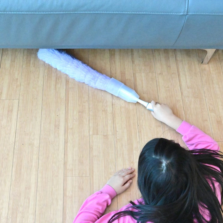  구부려 사용 가능한 다이소 먼지떨이 집 먼지 청소 및 제거에 추천하는 접이식 케이스 먼지떨이개