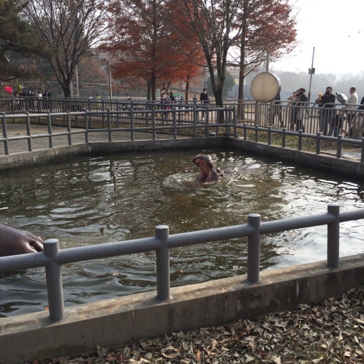  기린은 없었지만 좋았다 3살 아기와 첫 방문한 전주동물원