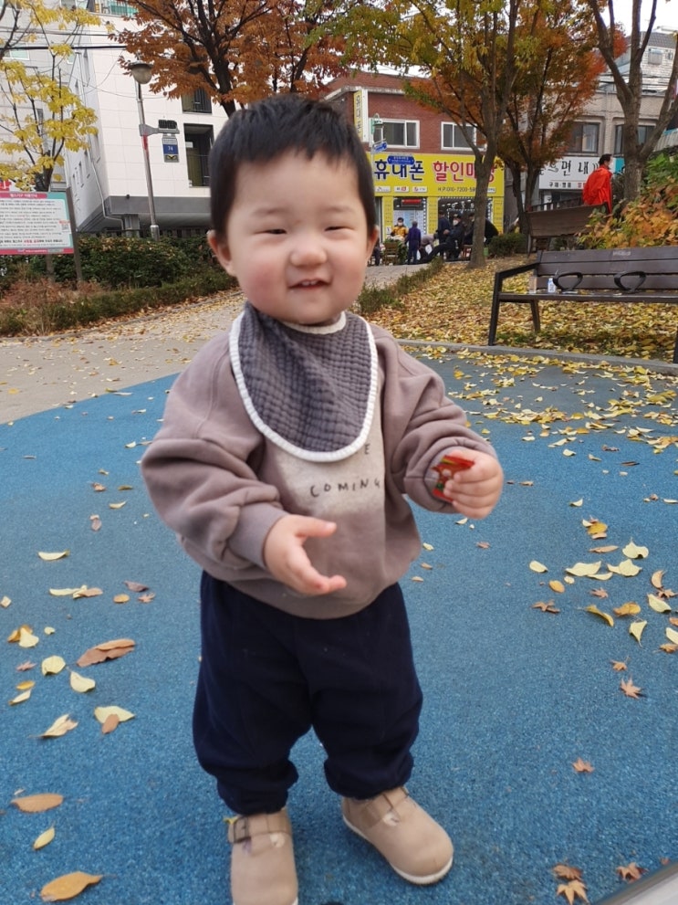  생후478일 :: 하원 후 놀이터, 가을남자