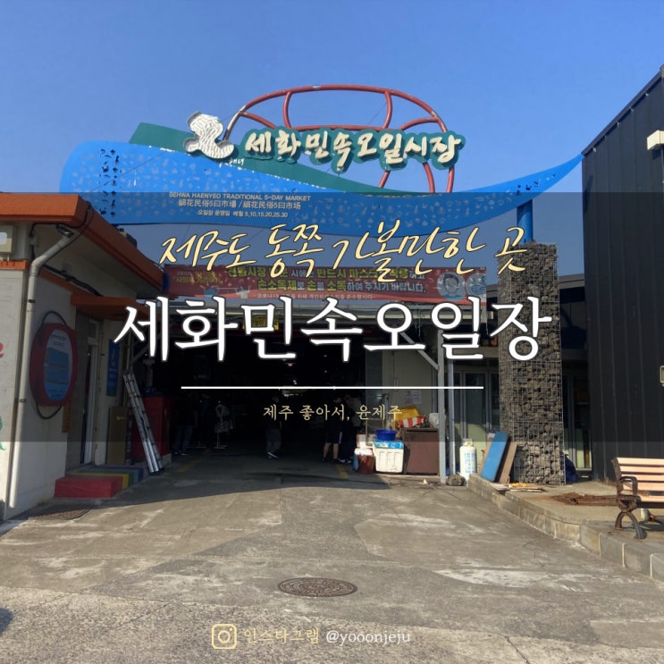  11월제주여행 제주도 동쪽 가볼만한 곳 : 세화민속오일시장