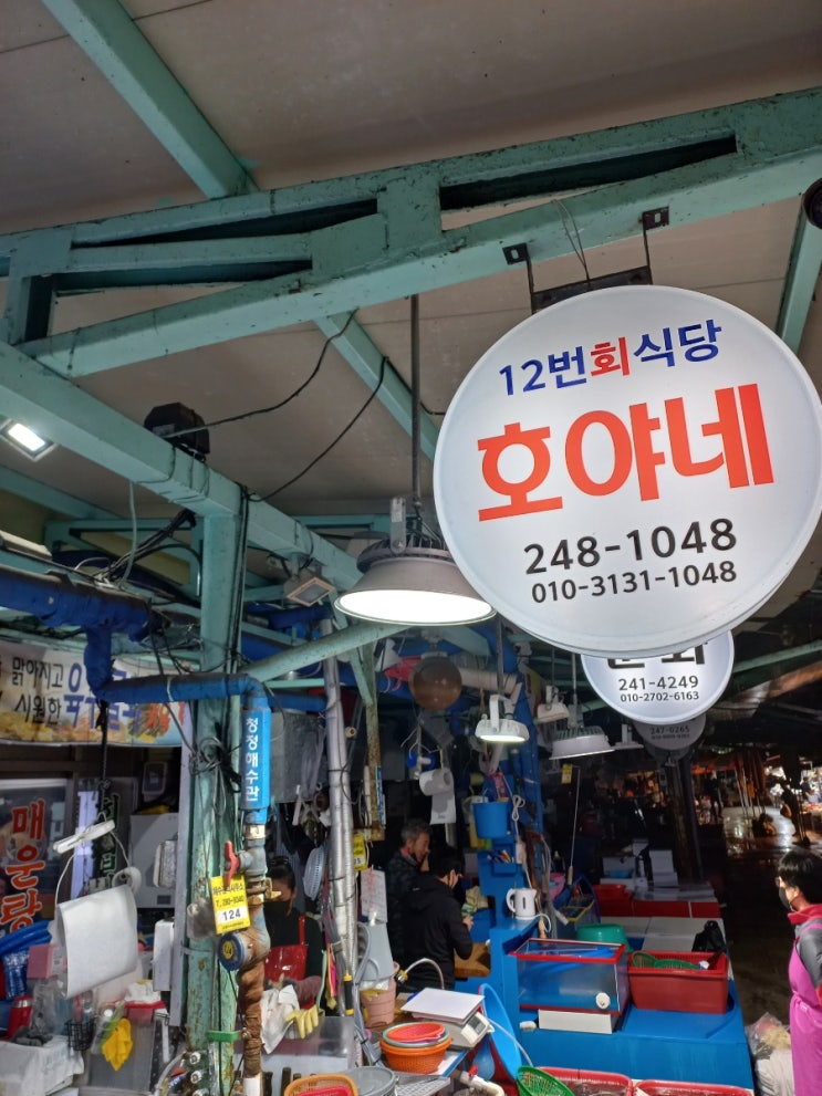  포항 여행 가볼 만한 곳 죽도 시장 구경하고 회도 먹고