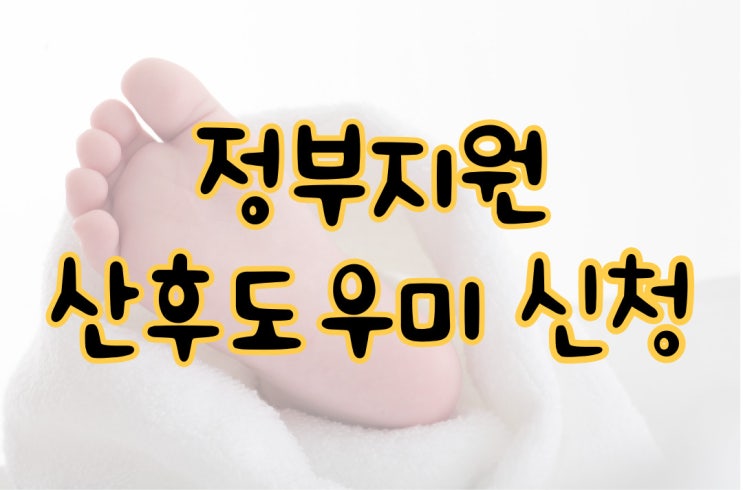  보건소 산후도우미-맞벌이출산, 복지로신청방법 및 비용(+업체선정)