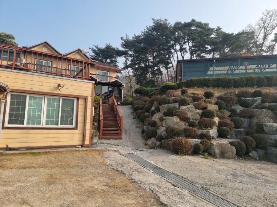 들꽃이있는바다펜션 사진 3