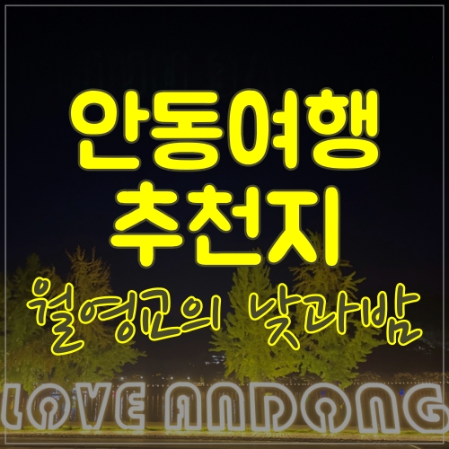  안동월영교 낮과밤 다 보고 왔어요