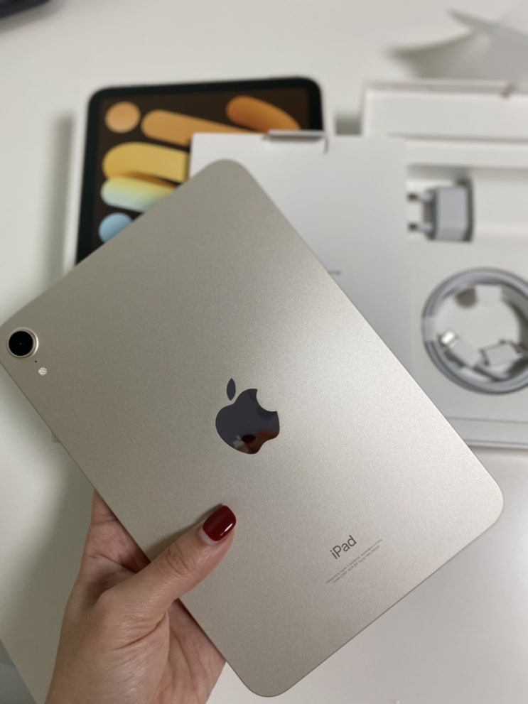  아이패드 미니 6세대 Ipad mini _ 구매, 스타라이트 색상, 공홈 재고 겟