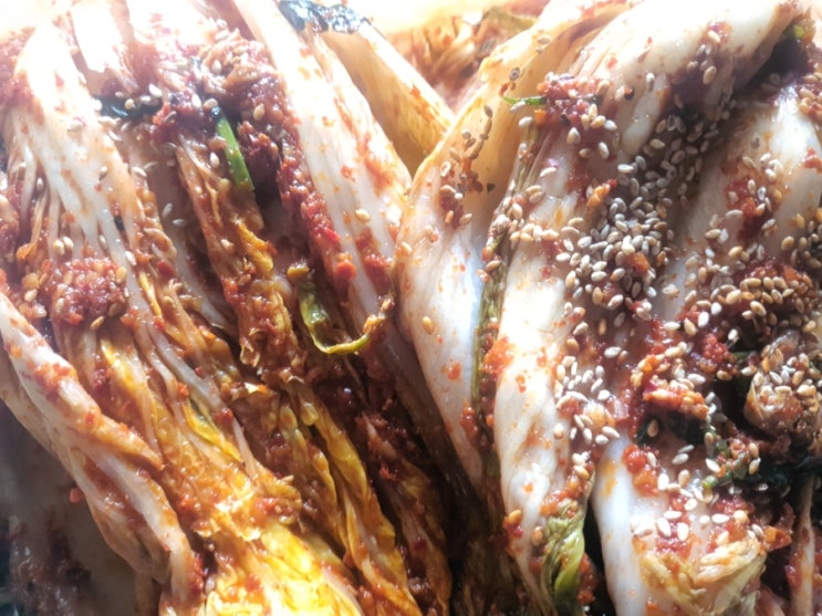 젖젖젓 젖젖젓