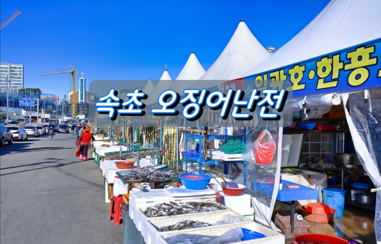속초항 오징어난전에서 즐기는 겨울철 별미 양미리와 도루묵 구이 속초항 오징어난전에서 즐기는 겨울철 별미 양미리와 도루묵 구이