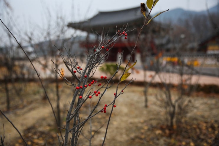  조선 시대로 떠나는 여행은 양주 관아지 추천