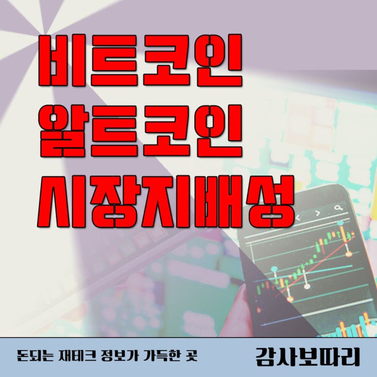  비트코인/알트코인 도미넌스 상승 하락 시장지배성