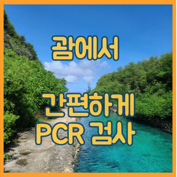  괌에서 PCR 검사 무료 ? 간단하게 신청 하기
