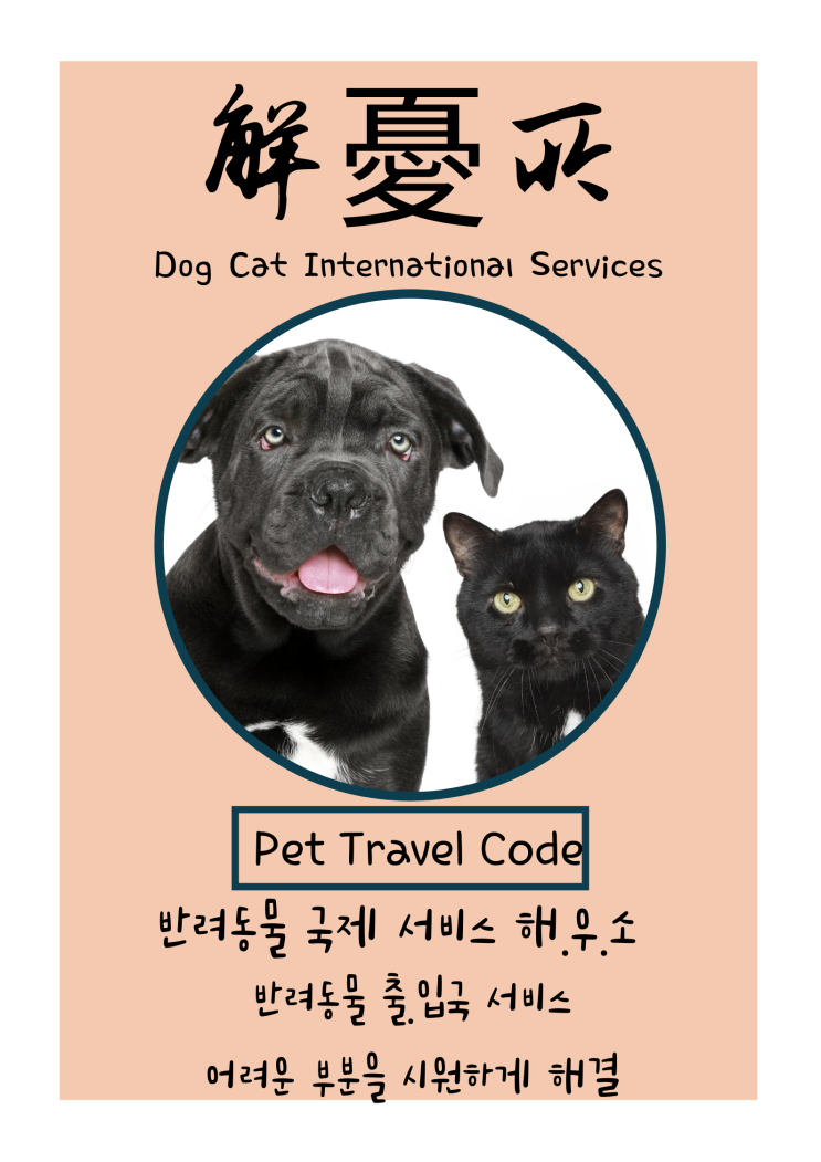  중국에서 반려동물 반려견 강아지 고양이 한국입국 운송 검역 통관 픽업 호텔 서비스