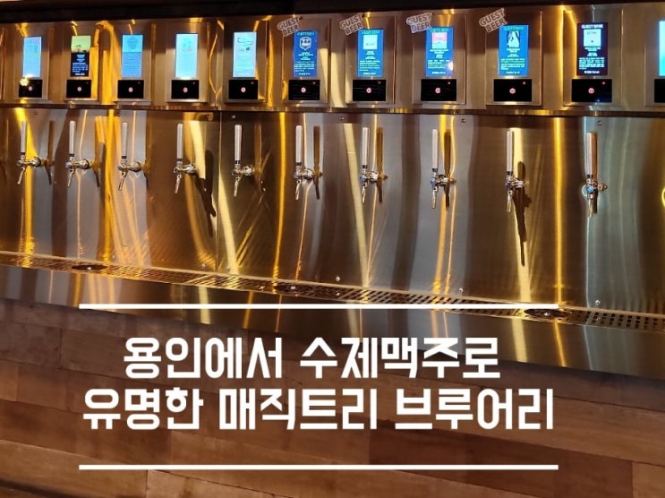  용인 양조장있는 수제맥주 매직트리 브루어리