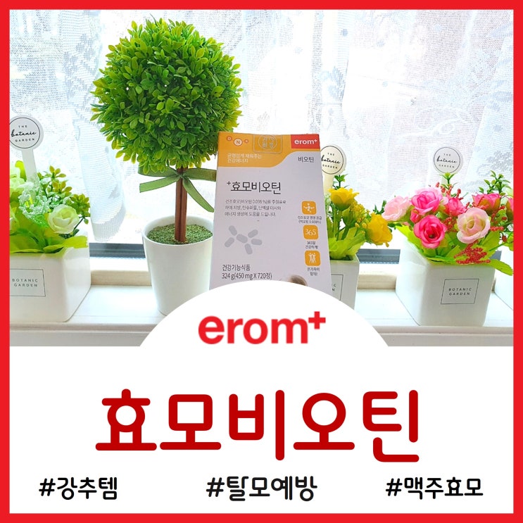  [이롬+]강추템-건강에너지 효모비오틴