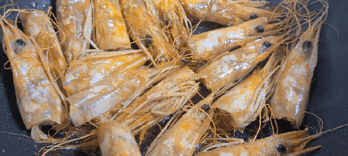  대하 1kg 몇개? 몇미?  자연산,양식 구별방법, 가격 (현지인이 말하는 안면도 백사장 대하축제 대하 잘 고르는 방법)