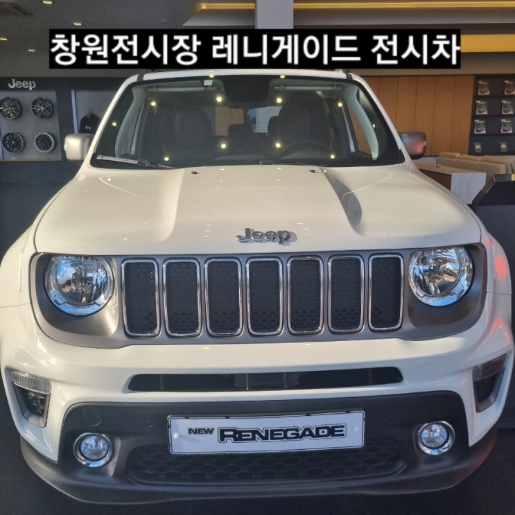  창원 지프전시장 레니게이드 화이트 전시 지프창원 이재훈