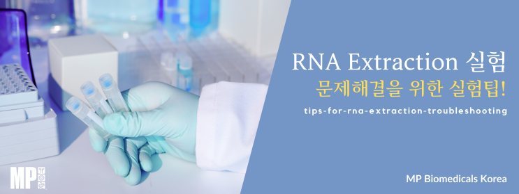RNA 추출관련 문제 해결 (부제: 실험테이블만 깨끗이 닦는다고 해결이 될까요?)