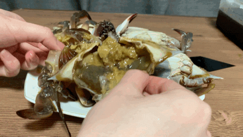  간장게장 택배) 반찬쇼핑몰 단짠한 간장게장 배송맛집 '찬통령'