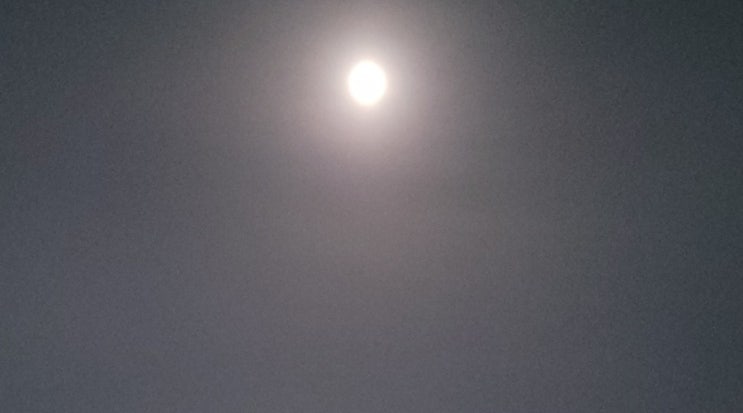 밤하늘의 아름다운 보름달과 나의 아름다운 보름달 -화중지음3