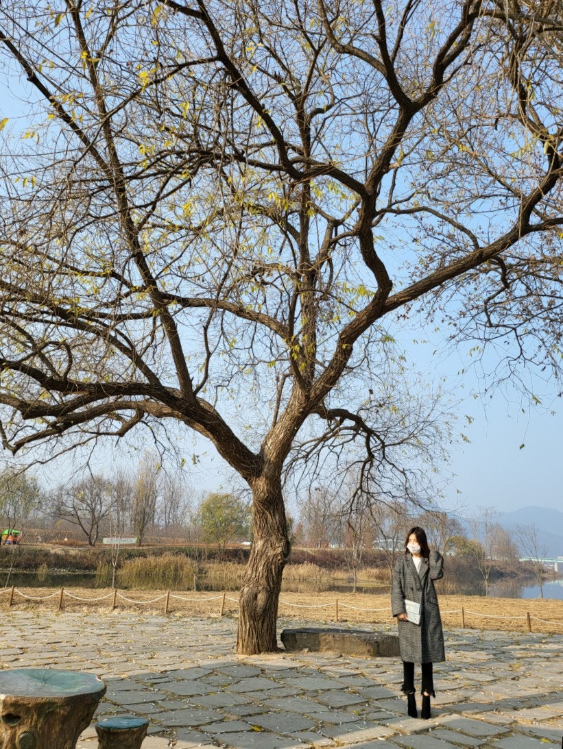 카페야 청춘가평점 사진 4