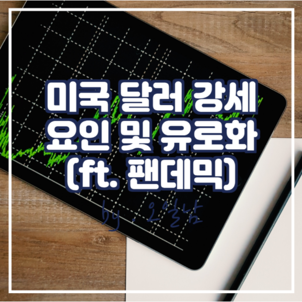  미국 달러 강세 요인 및 유로화 (ft. 팬데믹)
