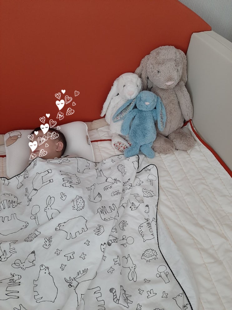  젤리캣버니애착인형우리아기행복지수담당