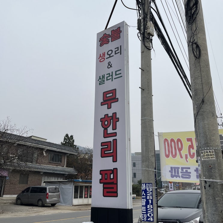  양주 숯불생오리 _ 대박오리 : 호텔 뷔페 저리 가라 오리고기 무한리필.