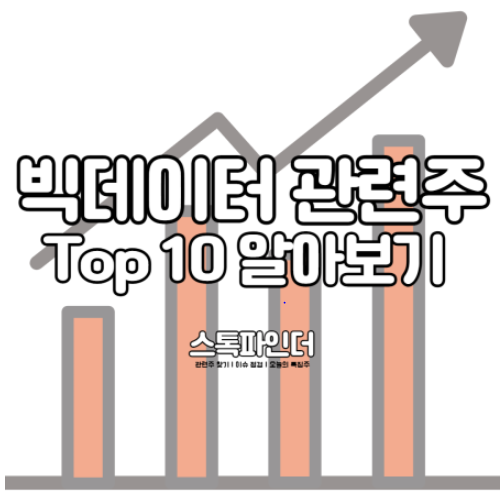  빅데이터 관련주 TOP 10 ㅣ대장주 바이브컴퍼니 엑셈 더존비즈온 스노우플레이크 주가