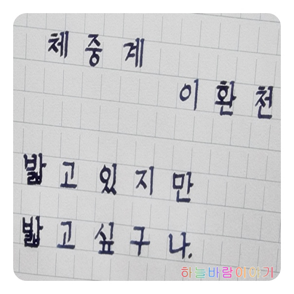  체중계 _ 이환천