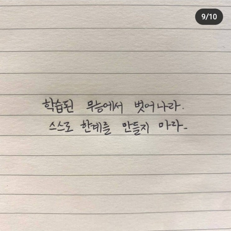  전문가의 말만 들으면 안되는 이유