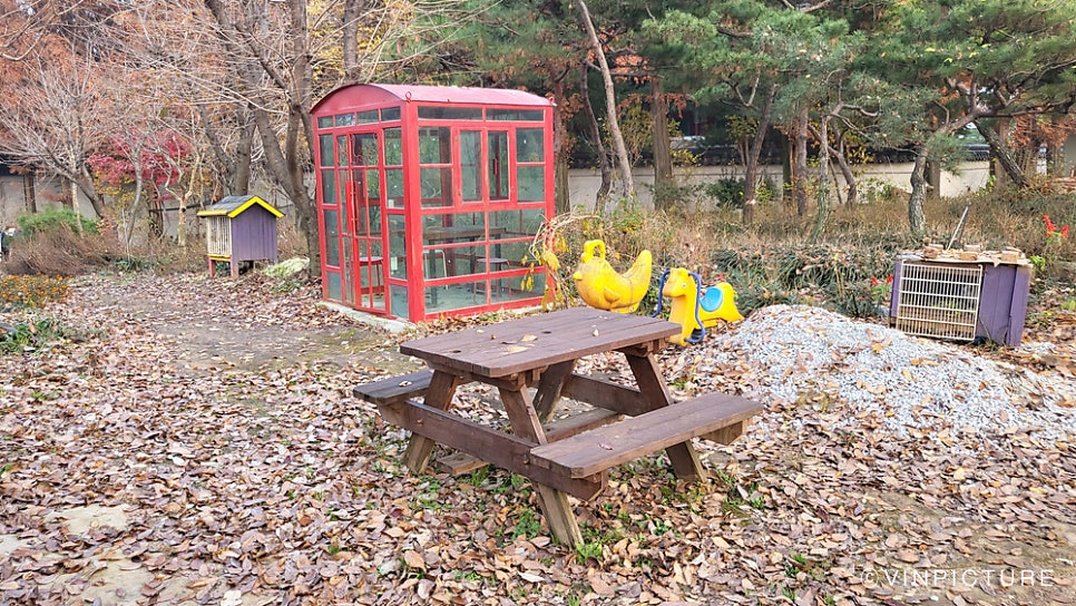 카페티 사진 3