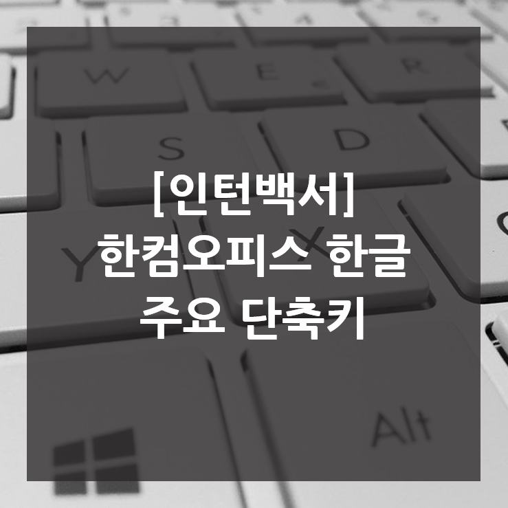  [인턴백서] 작업이 빨라지는 한컴오피스 한글 주요 단축키