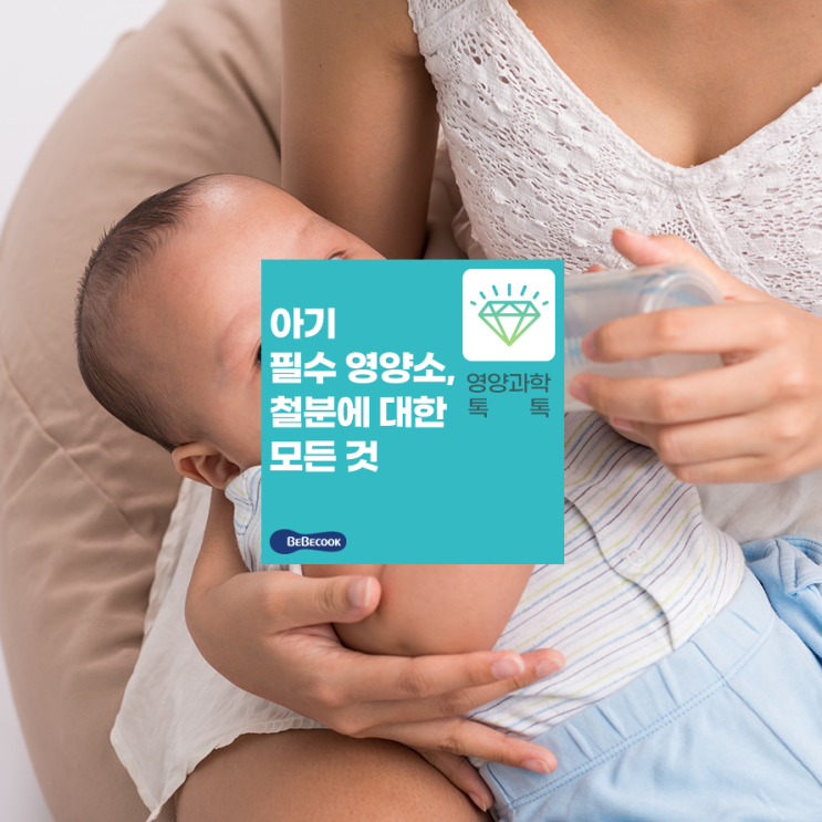 [베베쿡x서울대] 돌아기 철분? 아기 필수 영양소 철분에 대한 모든 것!