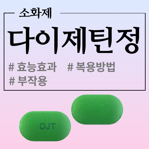  기능성 소화불량, 복부팽만 등에 효과 좋은 다이제틴정 알아보기
