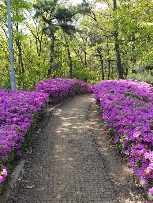  이천 법무사 봄