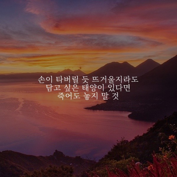  부거사이 [부동산 뉴스와 블로그] 11월 22일(월)