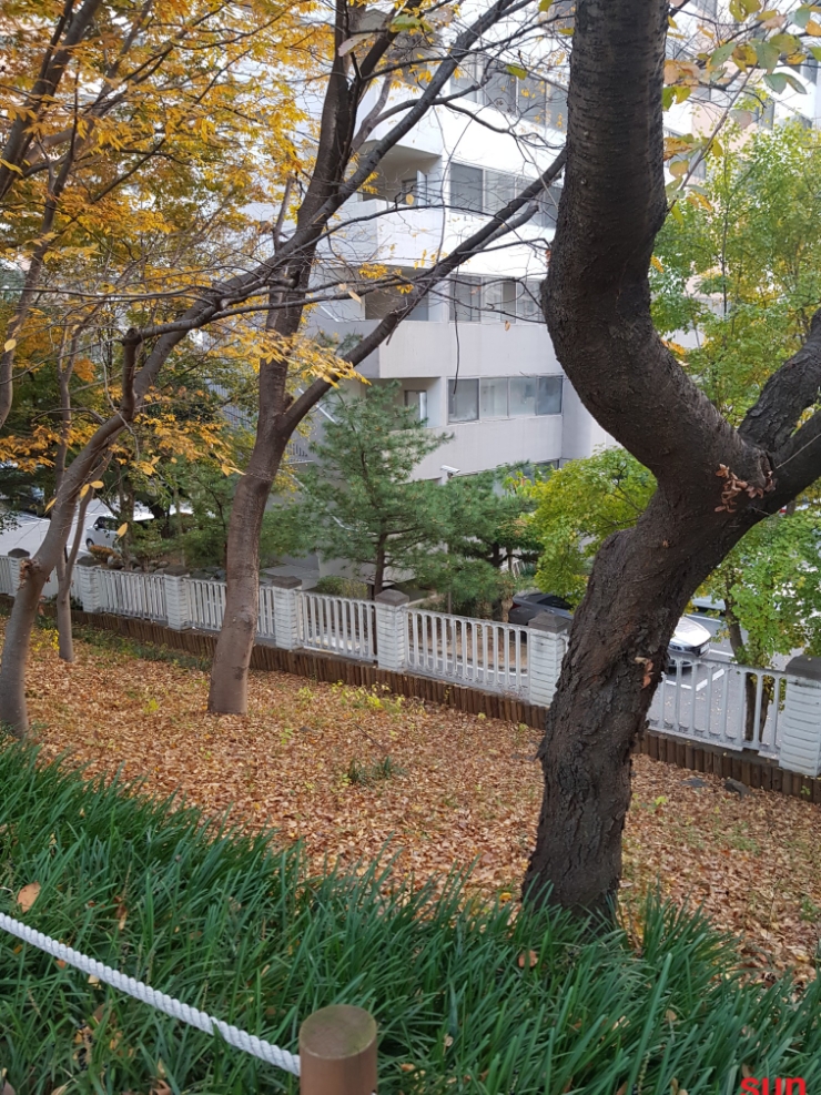  28년전의 기억