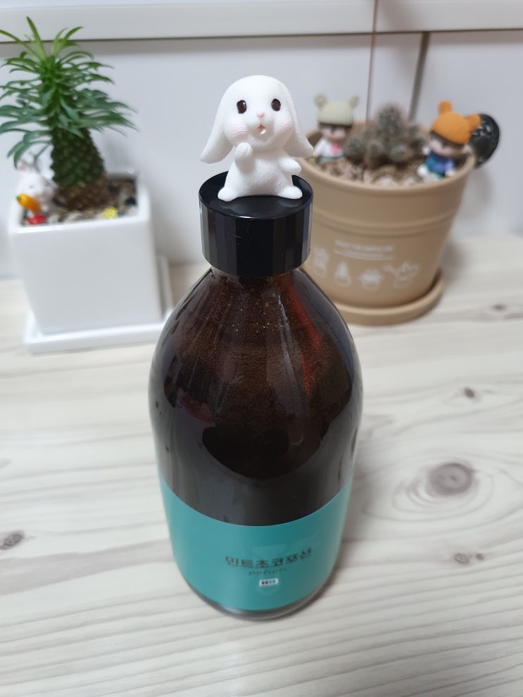  포션커피, 민트초코포션을 내 취향대로 즐겨보자