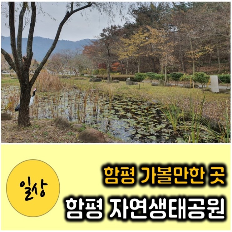 함평 자연생태공원 - 대통령도 다녀간 힐링플레이스