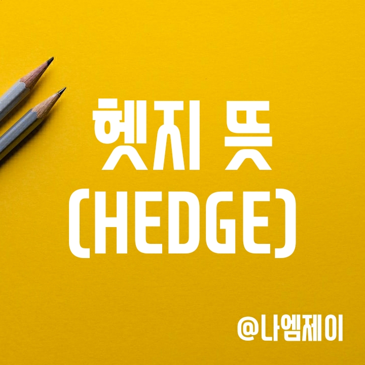 헷지 뜻과 다양한 HEDGE 알아보기 (주식/인플레이션/환율/리스크) 헷지 뜻과 다양한 HEDGE 알아보기 (주식/인플레이션/환율/리스크)