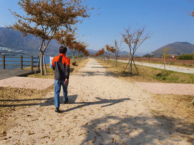  양산황산공원 강변산책길 걷기운동하면 힐링되요~!!