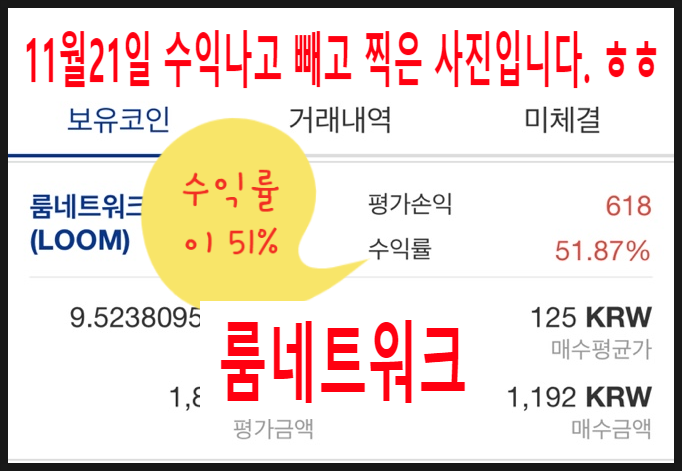  [코인정보]룸네트워크 코인[Loom Network ]