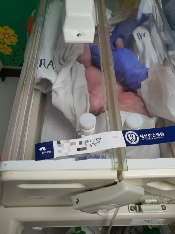  조카 아무개양 탄신일