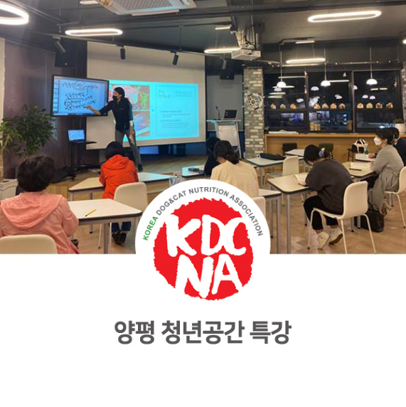  최수연 펫영양사 양평 청년공간 펫푸드 자격증 특강 [한국반려동물영양협회/펫푸드창업/펫푸드자격증/펫푸드수업/강아지화식/수원/포천/파주/의정부/이천]_931