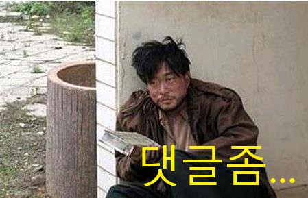  추운 겨울 길고양이 물 안얼게 하는 법