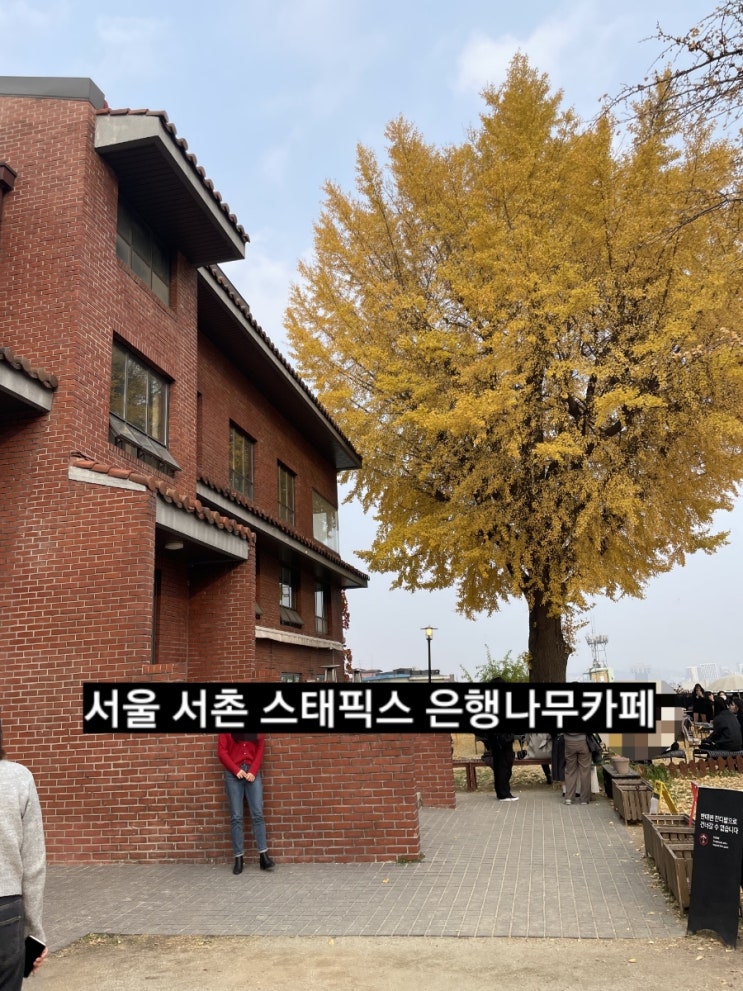  서울 서촌 스태픽스 은행나무 SNS 핫플 카페 ! 전참시 카페