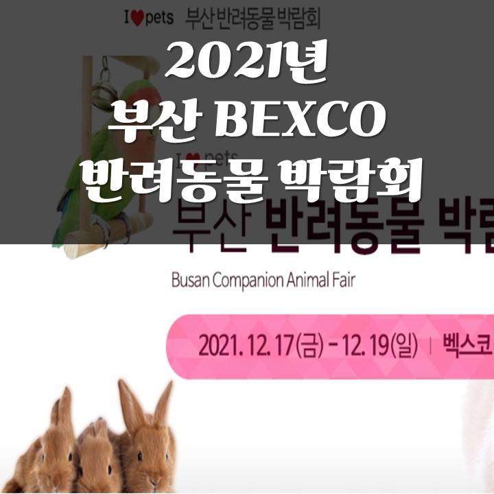 &lt;종료&gt;2021년 부산 반려동물 박람회