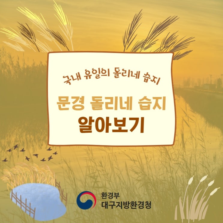  [대구환경청] 문경돌리네습지 알아보기
