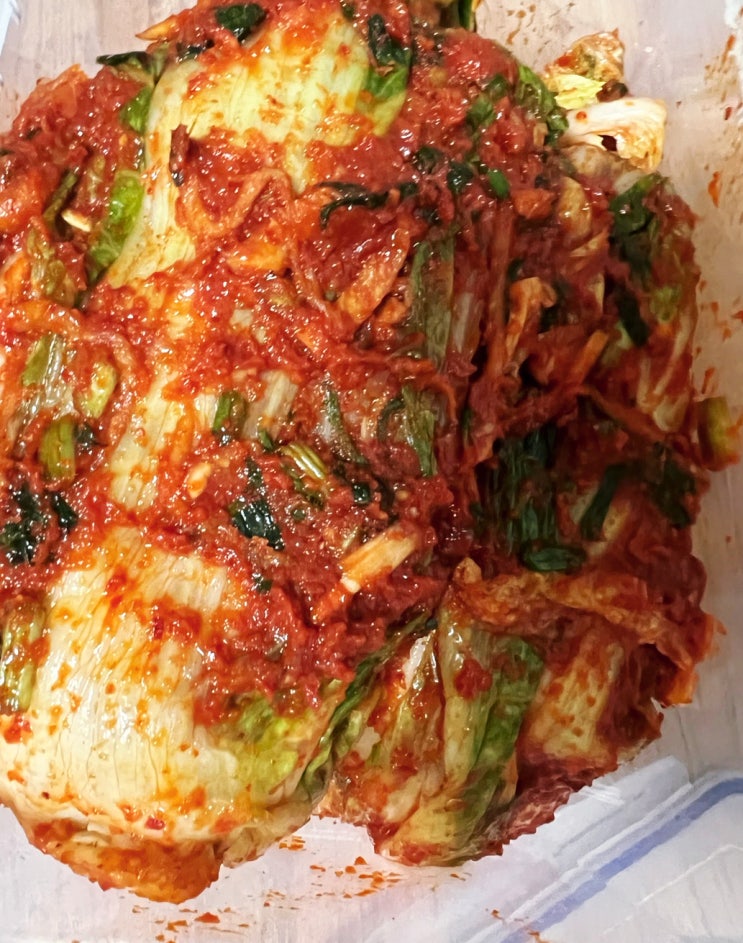 잇다팜 팔봉골 아삭아삭한 배추와 맛있는 김장소로 김장체험하기.