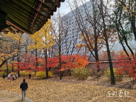 덕수궁의 가을 (ft.덕수궁 프로젝트2021;상상의 정원) 덕수궁의 가을 (ft.덕수궁 프로젝트2021;상상의 정원)
